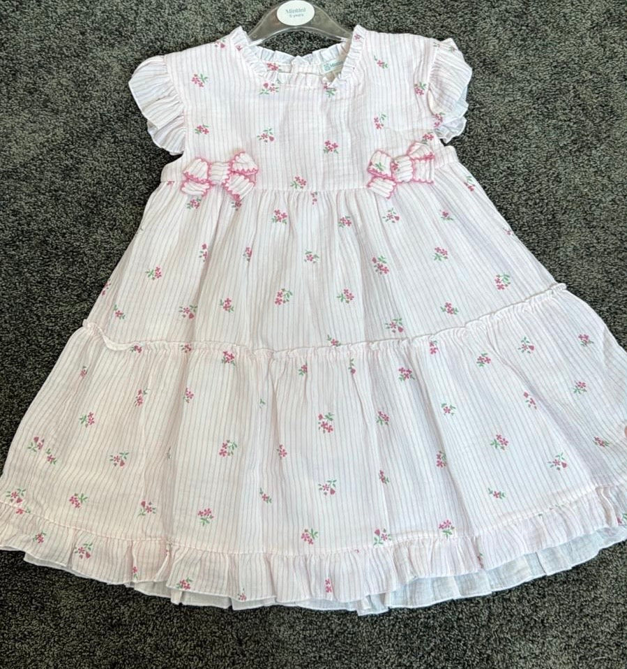 Mintini dress