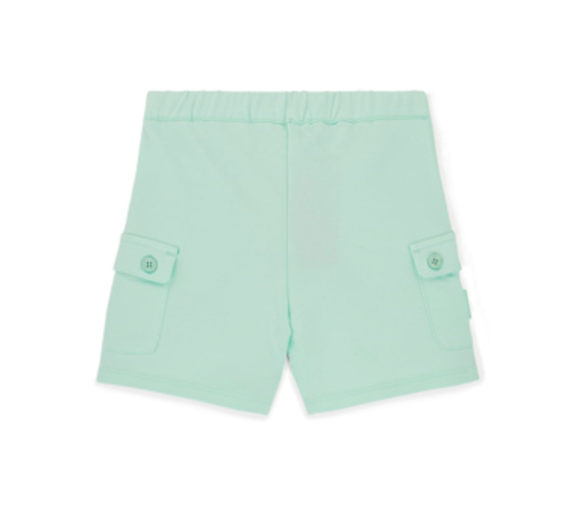 Mitch & Son Oakland mint short set
